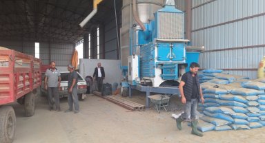 Bafra'da Ziraat Odasınca alınan çeltik kurutma makinesi hizmete girdi