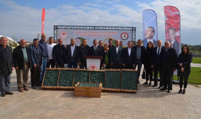 Bafra'da çiftçilere 625 bin adet brokoli fidesi dağıtıldı