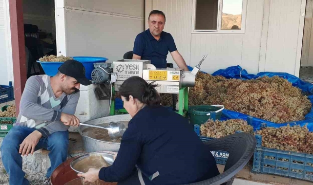 Bağbozumunda teknolojik aletler kullanılıyor