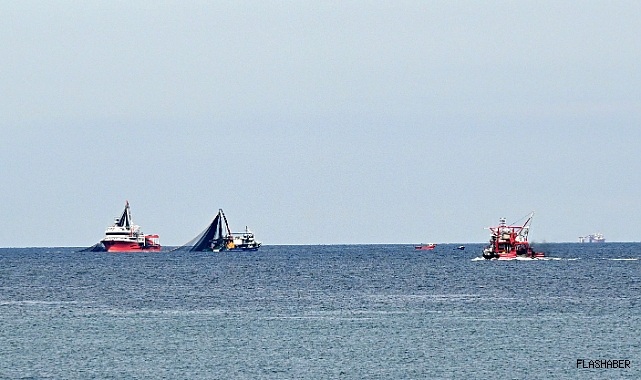 Balıkçıların rotası Doğu Karadeniz oldu