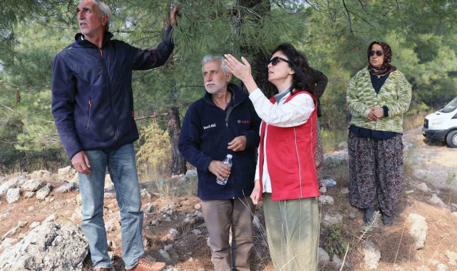 Başkan Köksal, "Ekiplerimiz söndürme çalışmalarına destek vermeye devam ediyor"