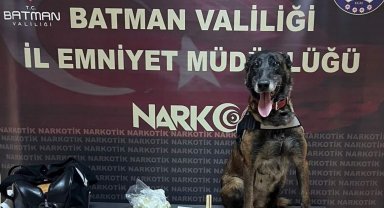 Batman'da durdurulan yolcu otobüsünde skunk madde uyuşturucu yakalandı