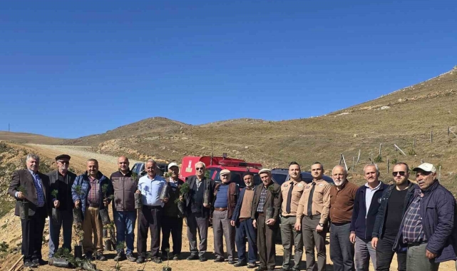 Bektaş Yaylası&#039;nda fidan dikim etkinliği düzenlendi
