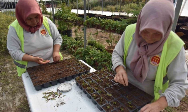 Bilecik Belediyesi kendi kendi serasında binlerce çiçek yetiştiriyor