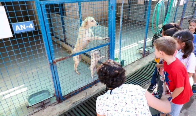 Bodrum'da 186 öğrenci patili dostlarıyla vakit geçirdi
