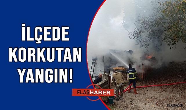 Boyabat'ta samanlık yangını