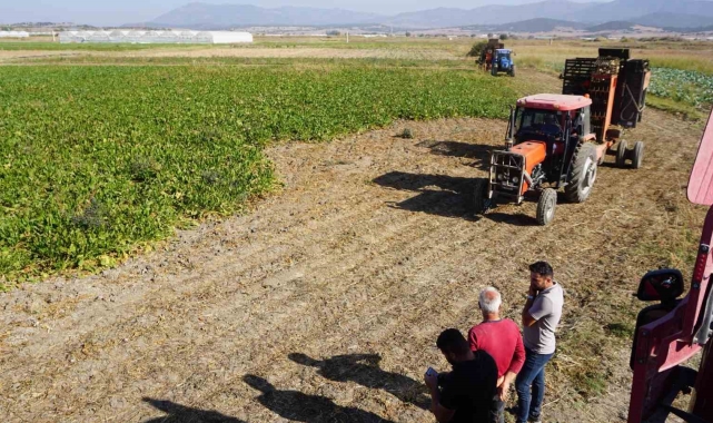 Burdur'da şeker pancarı hasadında yüksek rekolte beklentisi