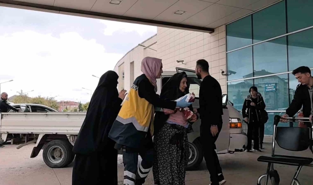 Bursa'da bir garip olay: Kedi ile köpeğin kavgasını ayırdı, kedinin saldırısına uğradı