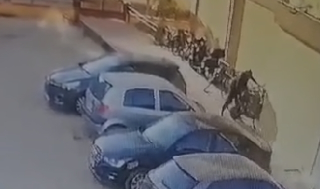 Çaldığı elektrikli bisikletle polisten kaçan şüpheli yakalandı