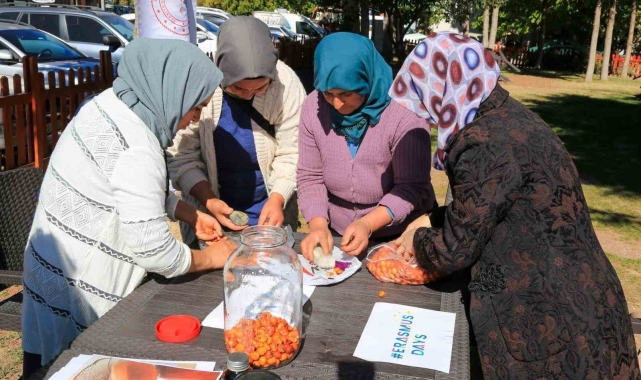 Çameli'nde kadınlara doğal yollarla 'alıç sirkesi' yapımı eğitimi