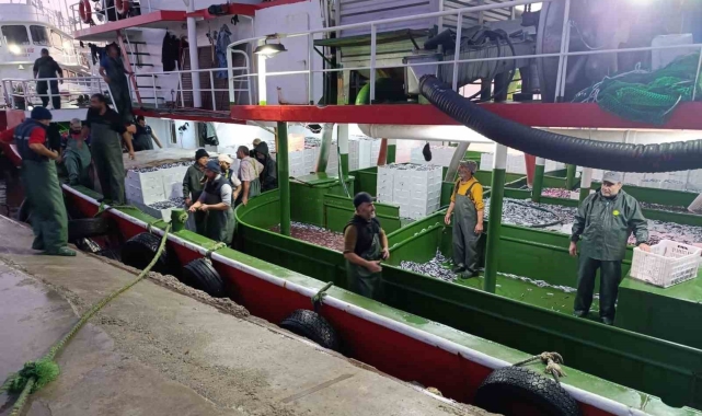 Çanakkale'de denetlenen 232 bin 700 kilogram hamsi karaya çıkarıldı