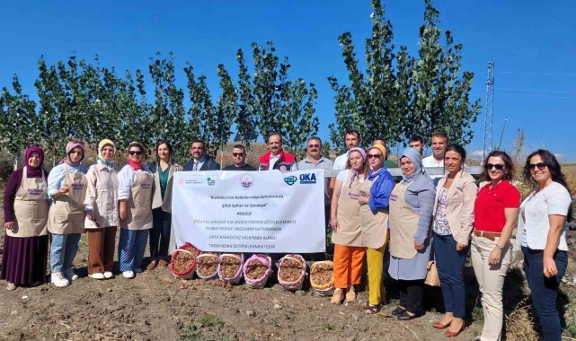 Çorum'da "BizimOra'lı kadınların şifalı safran ve sarımsak projesine OKA desteği