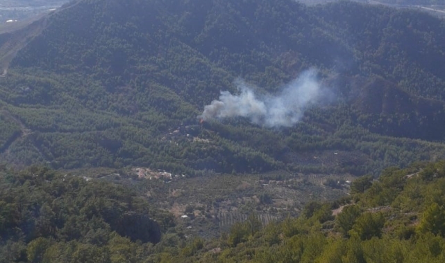 Dalaman'da orman yangını