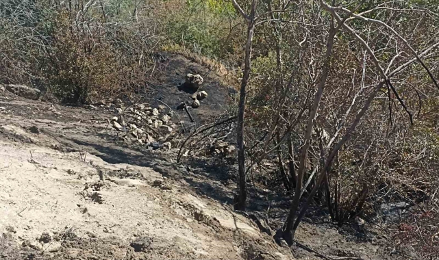 Darende'de bahçe yangını