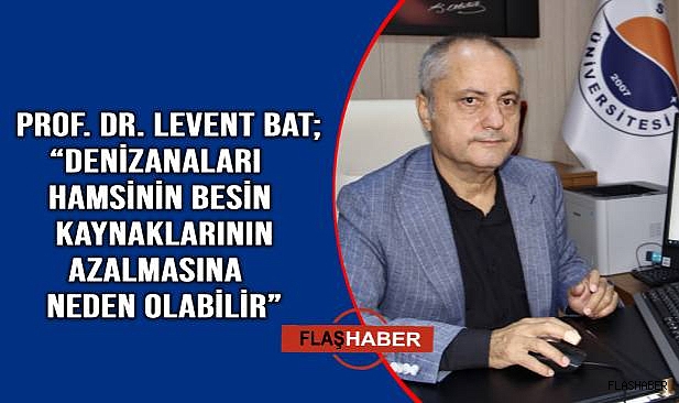 Denizanaları hamsiyi tehdit ediyor