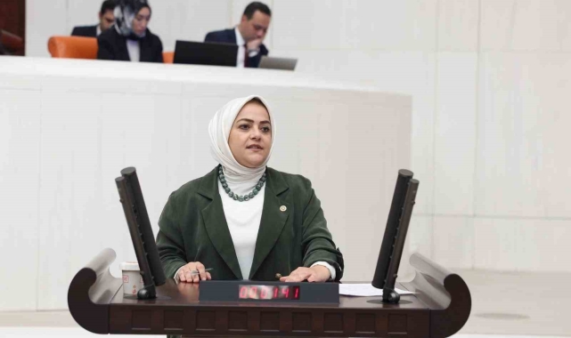 Denizli Milletvekili Sema Silkin Ün şiddet olaylarına karşı kanaat önderlerine seslendi