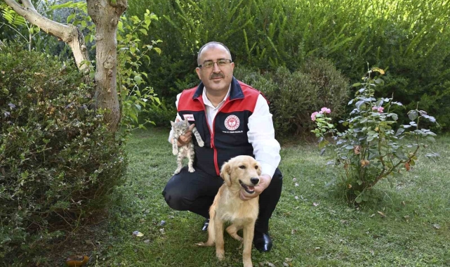 Denizli'de hayvanlara karşı işlenen suçlar cezasız kalmıyor
