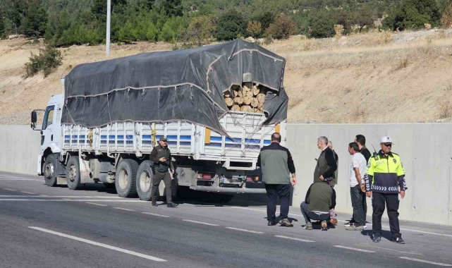 Denizli'de orman suçlarına karşı denetimler sıkılaştırıldı