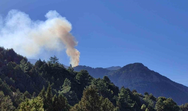Denizli'de sarp arazide başlayan orman yangınına müdahale sürüyor
