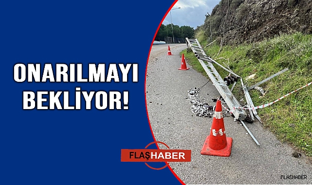 Devrilen direkler tehlike saçıyor
