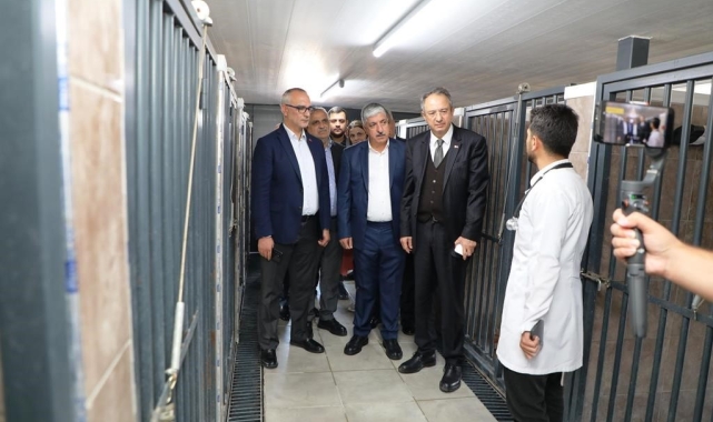 Dilovası'nda hayvanları koruma gününde farkındalık
