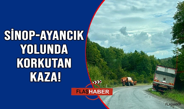 Direksiyon hakimiyetini kaybeden kamyon yoldan çıktı