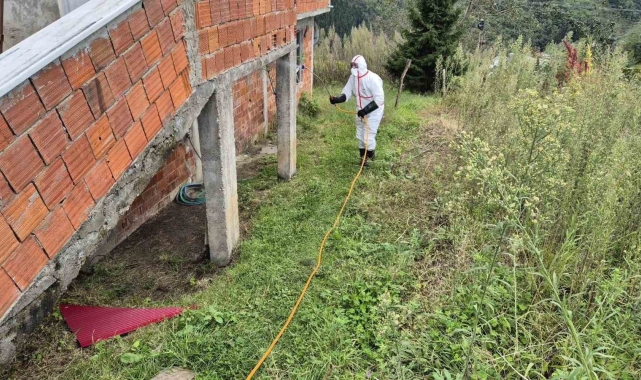 Doğu Karadeniz'in en büyük ilçesi Ortahisar'da kahverengi kokarca ile mücadelede ilaçlama seferberliği başlatıldı