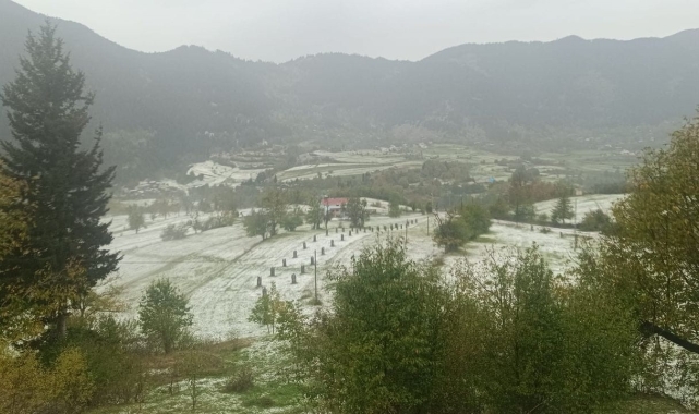 Dolu yağışı Artvin'i beyaz örtüyle kapladı