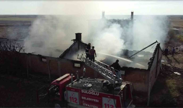 Edirne&#039;de çiftlik yangını: Tavuklar ve arılar telef oldu