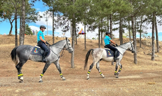 Elazığ'da atlı birlikler görev başında