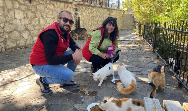 Elazığ'ın genç gönüllülerinden sokak hayvanlarına mama desteği