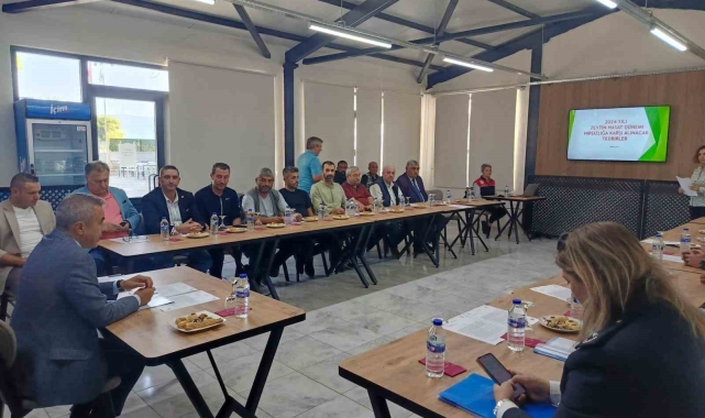 Erdek'te zeytin hırsızlıklarına karşı önlemler görüşüldü