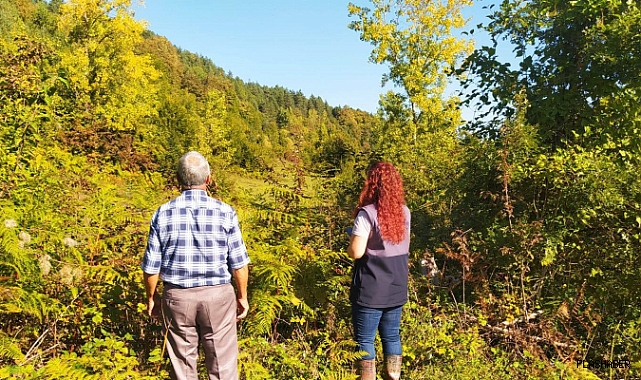 Erfelek'te kullanılmayan araziler tarıma kazandırılacak