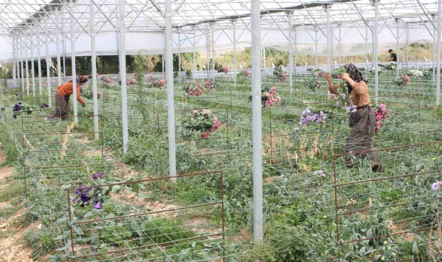 Erzincan'dan Tokat ve Samsun'a inceleme gezisi