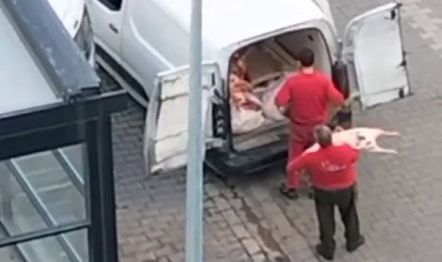 Esenyurt'ta mide bulandıran anlar kamerada