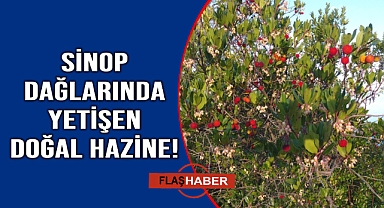 Faydası saymakla bitmiyor