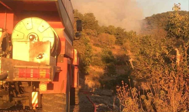 Gazipaşa'da ormanlık alanda çıkan yangın söndürüldü