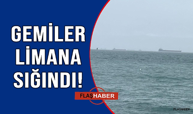 Gemiler doğal limana sığındı