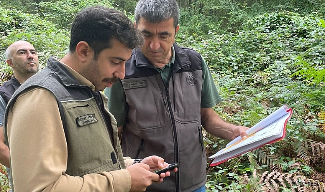 Gen koruma ormanları incelendi