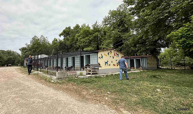 Gerze'de Ek Barınak Projesi için çalışmalar başladı