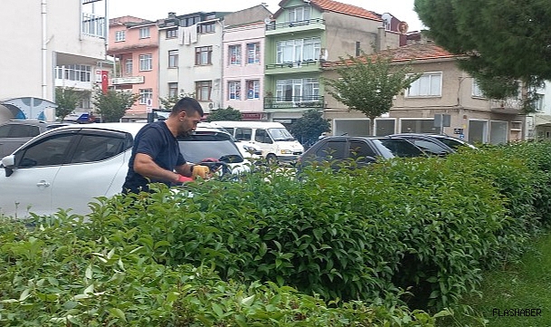 Gerze'de Sonbahar temizliği