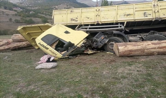 Giresun'da tomruk yüklü kamyon devrildi
