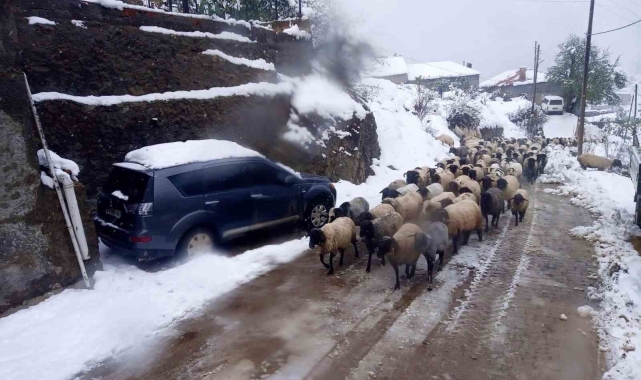 Giresun'da kar yağışı nedeniyle mahsur kalan çobanlar kurtarıldı