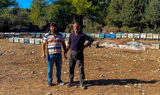 Gökbel'de kovan tespit çalışmaları sürüyor