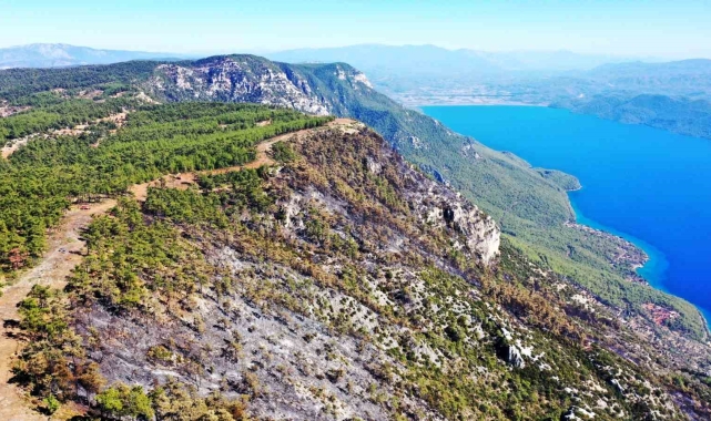 Gökova'da alevlerin önünü kesmek için 6,5 kilometre yangın şeridi açıldı