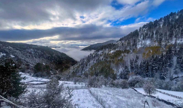 Gümüşhane'de kar ve sis buluştu ortaya tablo gibi bir fotoğraf çıktı