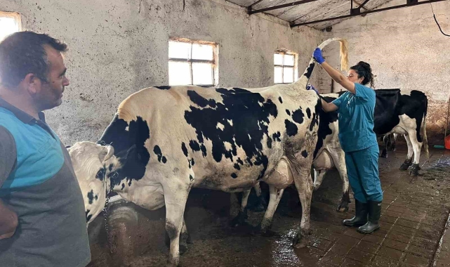 Hastalıktan ari 200 işletme hedefiyle çalışmalar devam ediyor