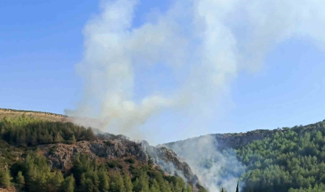 Hatay'da orman yangını