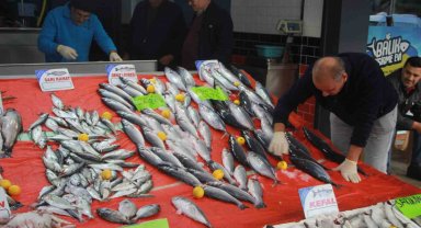 Hava şartları balık fiyatlarını etkiledi