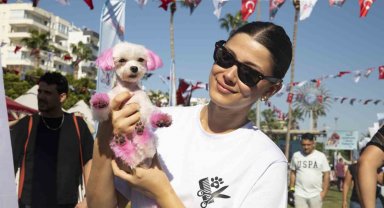 Hayvanseverler, Mersin Patifest'te buluştu